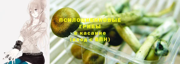 COCAINE Богородицк