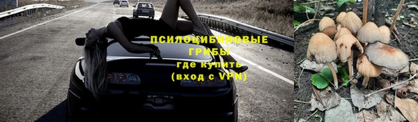 apvp Балабаново